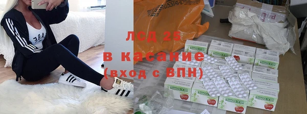 гашик Алзамай