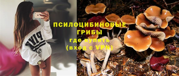 PSILOCYBIN Протвино