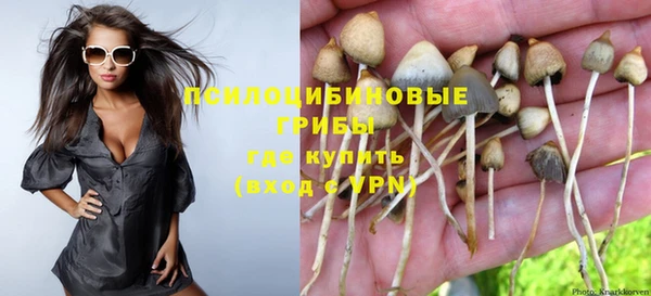 таблы Алексин