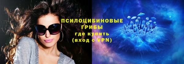 гашик Алзамай