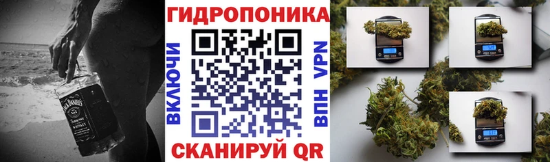купить наркоту  OMG ССЫЛКА  Каннабис Ganja  Харовск 